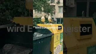 EM Orakel