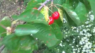 Изображение 033