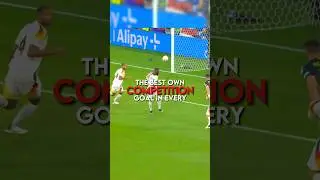 The best own goal in every competition