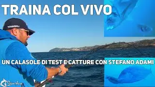 Traina col vivo una bella giornata con immagini subacquee e strike in diretta di Stefano Adami