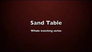 TopWar: SandTable - Updated setup