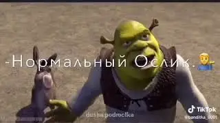 😱 Нормальный. Ослик😄