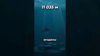 Реальная форма Земли  #космос #наука #астрономия
