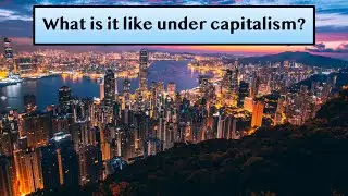 What is a capitalist society like?