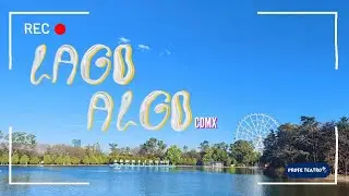 Lago Algo, la galería de arte con mejor vista del Lago de Chapultepec