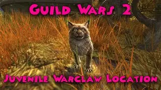 Guild Wars 2 - Juvenile Warclaw Locations