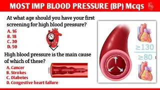 Blood Pressure Mcqs Questions And Answers || #medicalstudent#knowledge