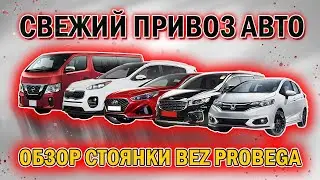 Привоз авто 