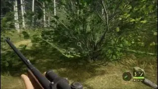 the hunter. Call of the wild (no commentary) | trying to hunt