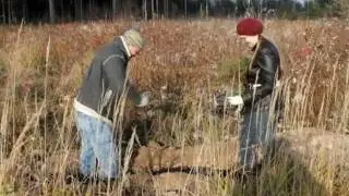 2011_10_30 Дружина сажает деревья