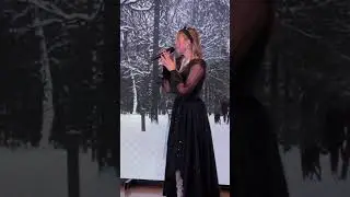 Одна снежинка 
