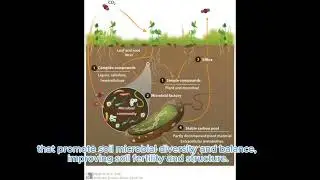 “Farming in Harmony with Nature  The Crop Vaccine Revolution”