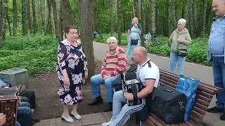 Веселые частушки под гармошку Н.Кадушкина и др. гармонистов.