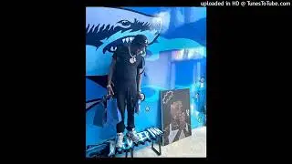 [FREE] Shawny Binladen x Sample Drill Type Beat "Show You" (prod. illie)