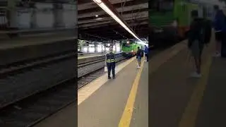 #Flixtrain