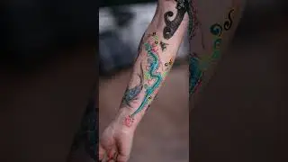 Dragon compilation - PittaKKM 