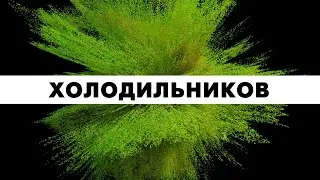 Ремонт холодильников  .Грозный