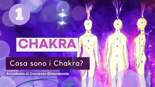 Chakra - Cosa sono i Chakra (1 parte)