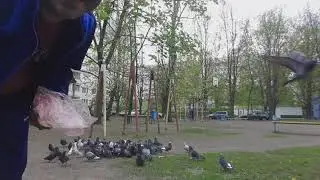 Made in Ukraine April 20, 2020