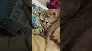 тот кто живет лучше всех