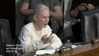 Senator Gillibrand Questions During Intelligence Committee Hearing on Worldwide Threats