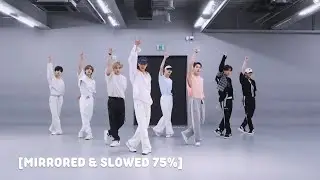 Stray Kids (스트레이 키즈) - CASE 143 (Dance Practice Mirrored & Slowed 75%)