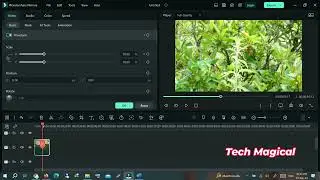 Get Pro-Level Results by Learning How to Zoom In on Filmora!