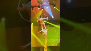 Земля мамонтов