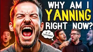 Why Do We Yawn? (And Why It's So Contagious!) 😮💤