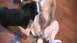MOV047