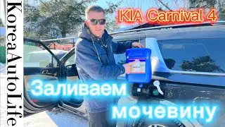 KIA Carnival 4 заливаем мочевину