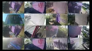 amedia отчеты