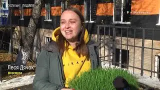 Хмельничанка три роки вирощує мікрозелень  Як і де починала справу