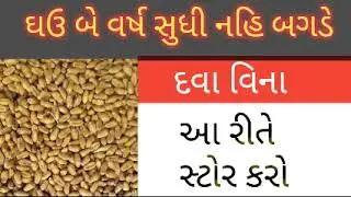 ઘઉ સાચવવાની રીત બે વર્ષ સુધી ઘઉ બગડશે નહિ કોઈપણ દવા વિના
