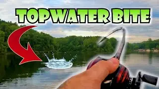My Plan CHANGED | Striped Bass Fishing on Lake Anna, Virgina