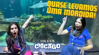 VISITA AO SHEDD AQUARIUM EM CHICADO - Chicago - Dia 05 - Parte 2