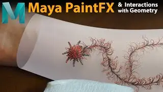 Maya PaintFX & Interactions with Geometry