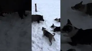 Перше знайомство в 2 місяці!)