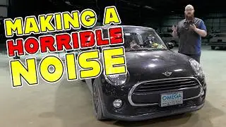 Little Car With a LOUD Problem & I Fixed it for FREE!