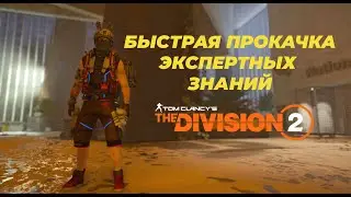 Экспертные знания
