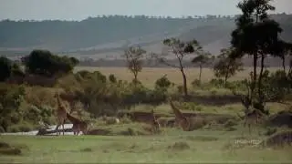 África El Serengueti