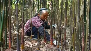 山上沒人要的小竹筍，2小時掰一麻袋，做筍乾能吃1年｜Grandma picks wild bamboo shoots to make traditional Chinese food｜玉林阿婆 美食