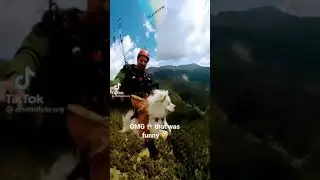 The dog 🐕 is relaxing 😎 😂