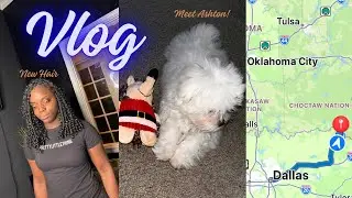Vlog: I got a puppy, last minute shopping, Boho braids