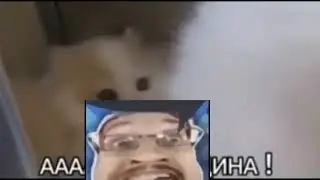 Shitpost status (April 23rd, 2027)