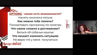 🉐Sales Harvester День 3
