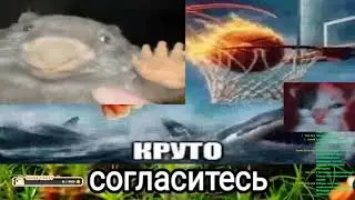 Rabilis как Путин, он как......
