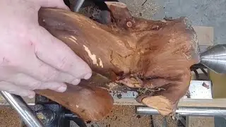 woodturning - a gnarly piece of wood