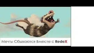 REDEX  ПРЕЗЕНТАЦИЯ  Евгения Коневега
