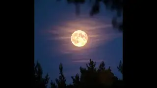 ᐰksarnerk - Moon Glow (2024)